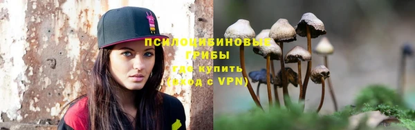 дживик Арсеньев