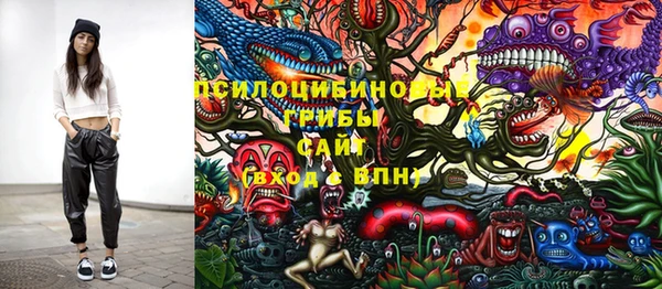 МДПВ Армянск