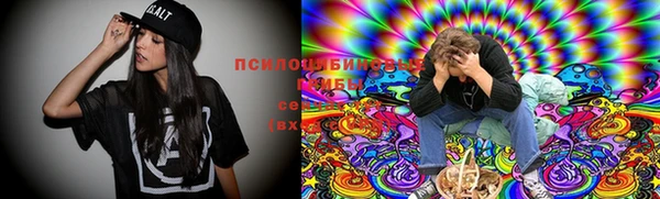 МДПВ Армянск