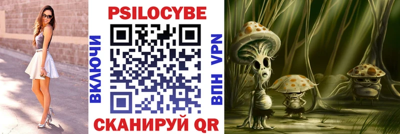дарнет шоп  Дмитриев  Галлюциногенные грибы Psilocybe 